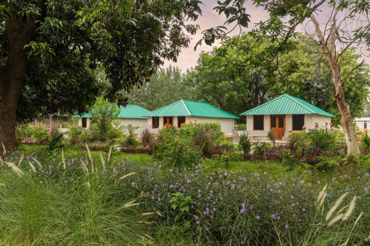 Zana Luxury Forest Resort, Ranthambore Sawai Madhopur Exterior photo
