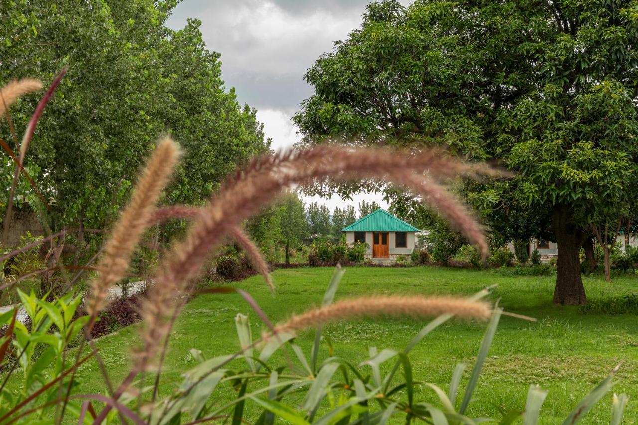 Zana Luxury Forest Resort, Ranthambore Sawai Madhopur Exterior photo