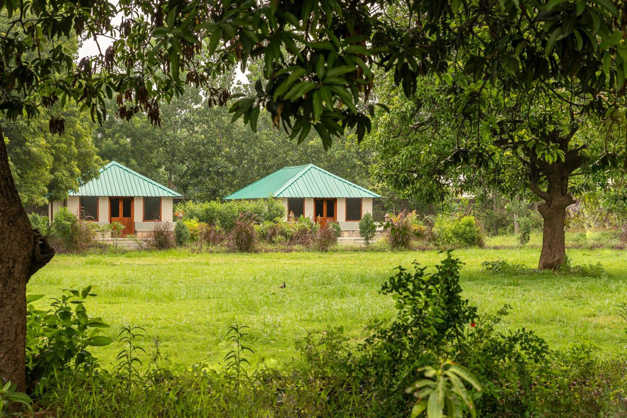 Zana Luxury Forest Resort, Ranthambore Sawai Madhopur Exterior photo